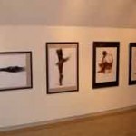蔡國華展／もみの木画廊